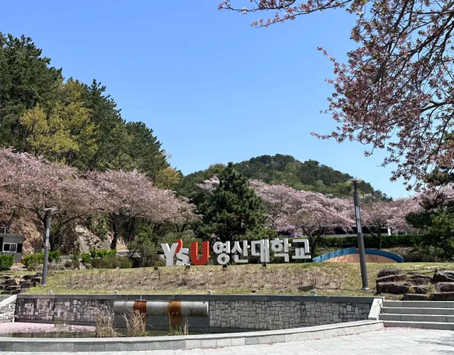 灵山大学